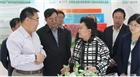 市委副書記、代市長艾麗華來我公司考察、調(diào)研