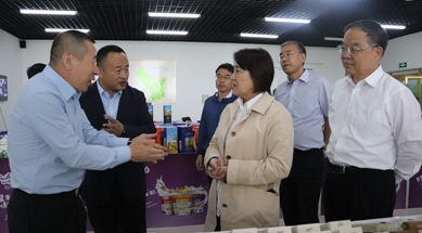 內蒙古自治區(qū)黨委副書記、自治區(qū)主席布小林蒞臨公司視察工作
